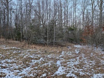 1234 Rodgers Rd, Crossville, TN 38572