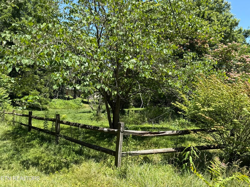 1235 Sharp Ln, Caryville, TN 37714