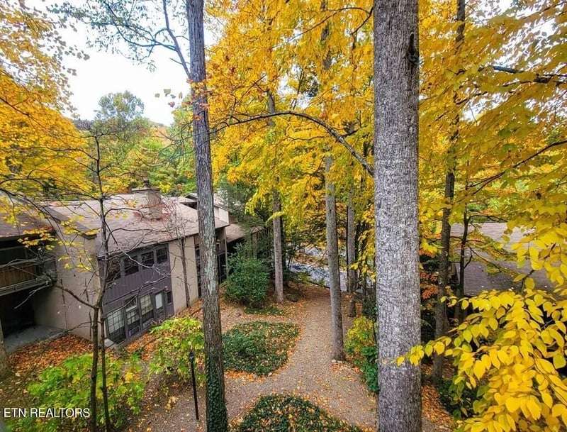 1235 Ski Mountain Rd #APT 610, Gatlinburg, TN 37738