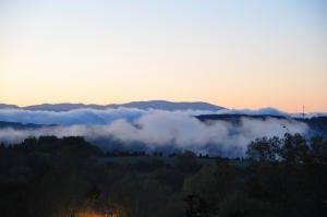 12385 Vista Brook Ln, Farragut, TN 37934