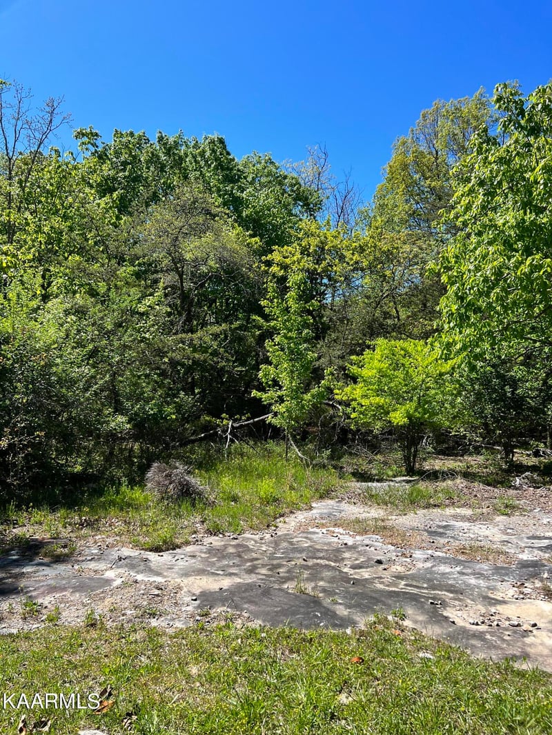 124 Fairhaven Dr, Crossville, TN 38558