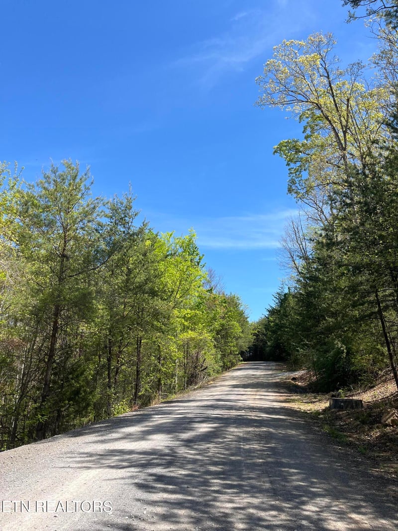 124 Indian Rg, Tellico Plains, TN 37385