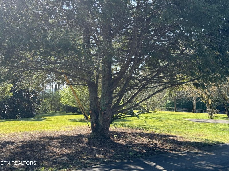 124 Lincoln St, Crossville, TN 38572
