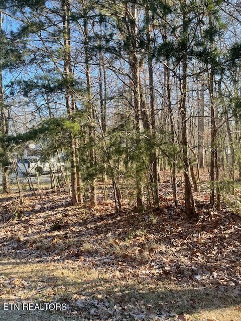 124 Markham Ln, Crossville, TN 38558