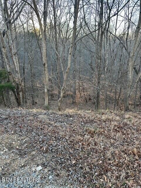 124 Old Hearth, Lafollette, TN 37766