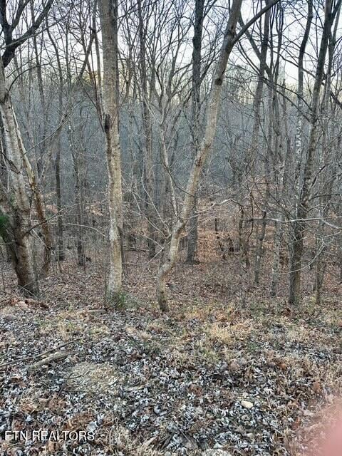 124 Old Hearth, Lafollette, TN 37766