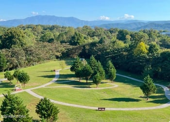 124 Plaza Dr #3704, Pigeon Forge, TN 37863