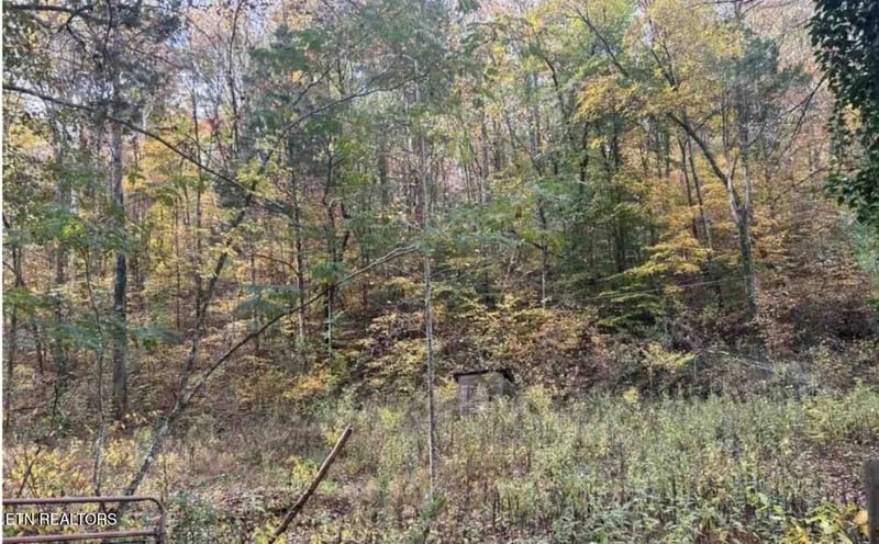 124 Rosenbalm Rd, Heiskell, TN 37754
