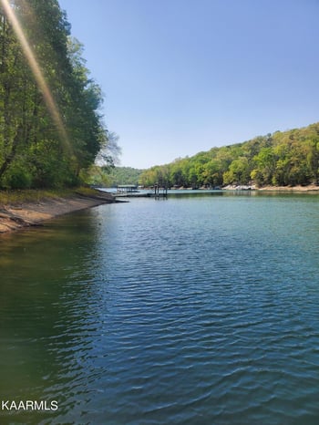 124 Squirrel Ln, Andersonville, TN 37705
