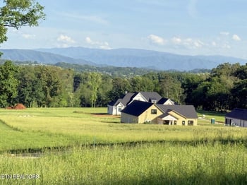 1241 Kellys View Dr, Greenback, TN 37742