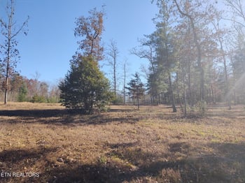 1241 Twin Bridge Rd, Deer Lodge, TN 37726