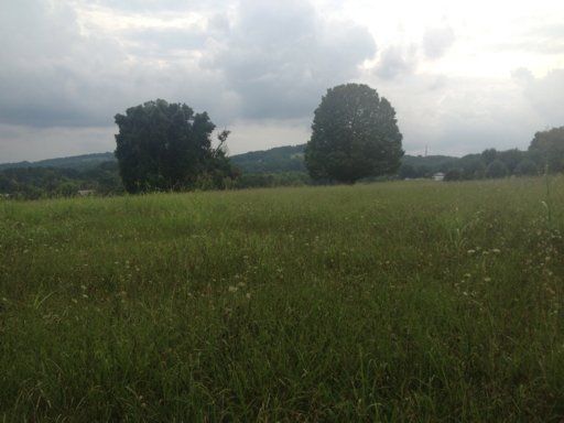1242 Cooper Rd, Strawberry Plains, TN 37871