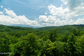 1248 Annes Rd, Gatlinburg, TN 37738