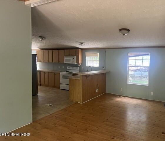 125 Ball, Rutledge, TN 37861
