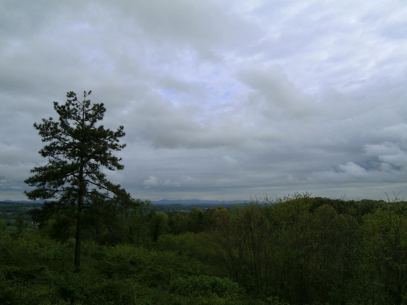 125 Eagle Ridge Point, Philadelphia, TN 37846