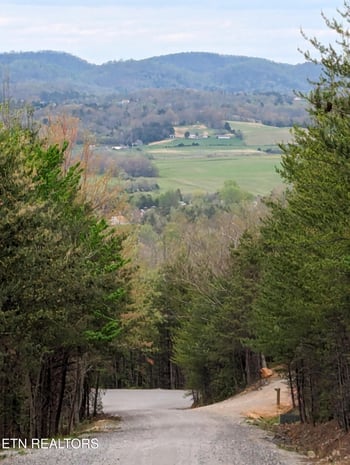 125 Indian Ridge Dr, Tellico Plains, TN 37385