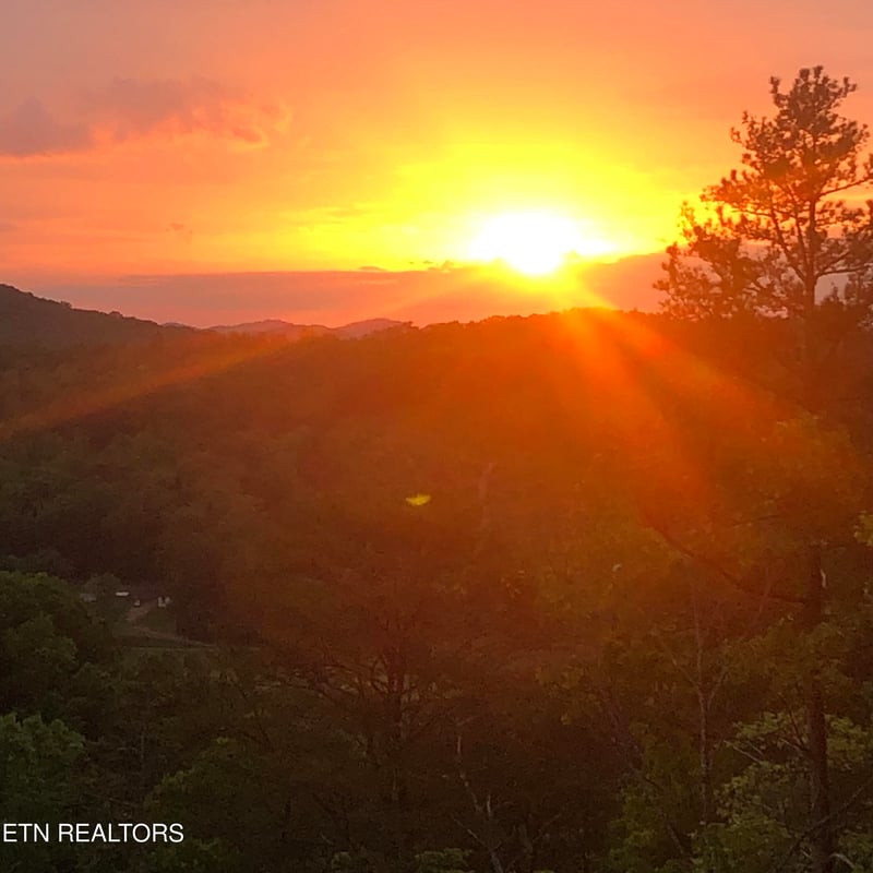 125 Indian Ridge Dr, Tellico Plains, TN 37385