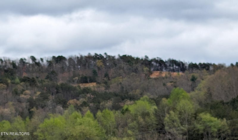 125 Indian Ridge Dr, Tellico Plains, TN 37385