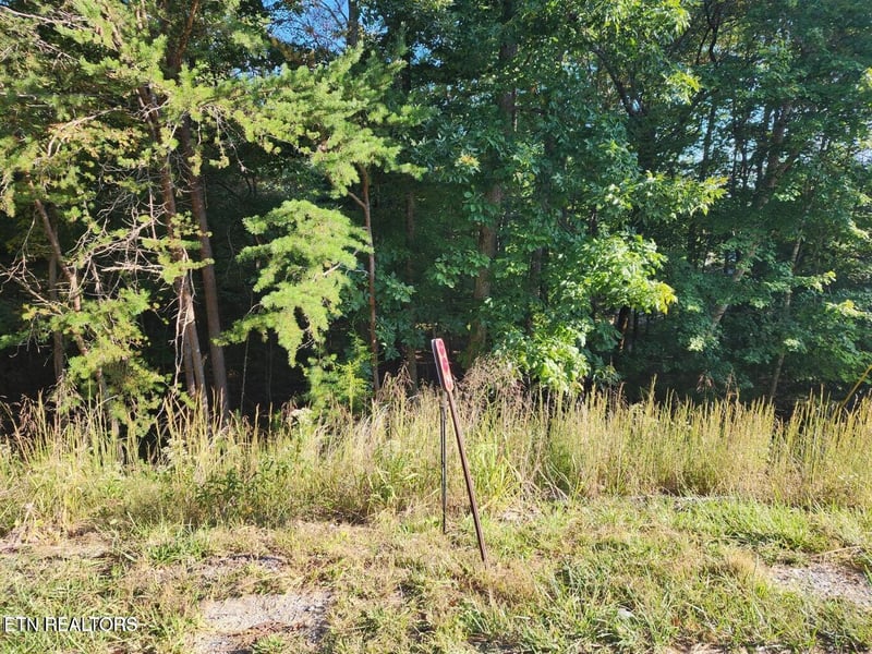 125 Valarian Dr, Fairfield Glade, TN 38558