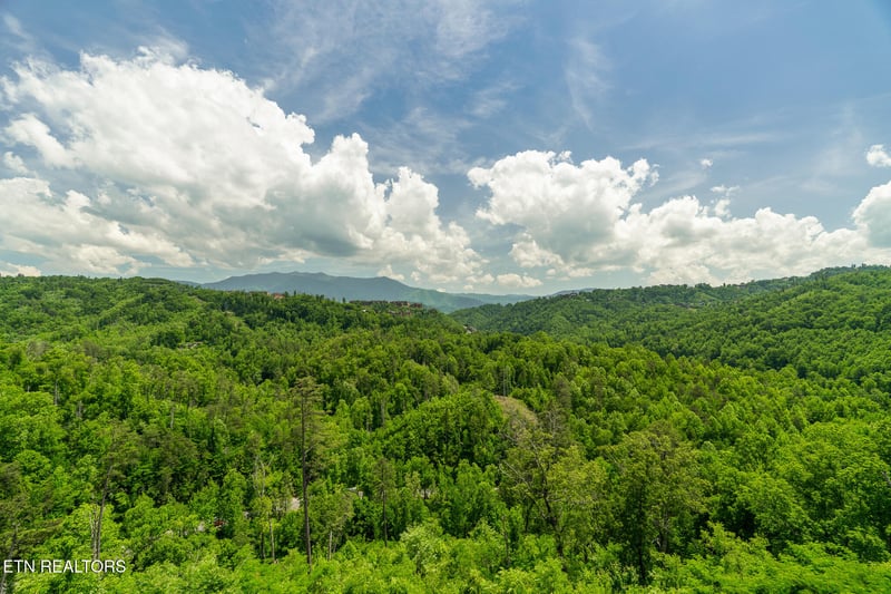 1252 Annes Rd, Gatlinburg, TN 37738