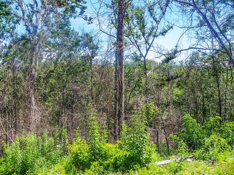 1259 Annes Rd, Gatlinburg, TN 37738