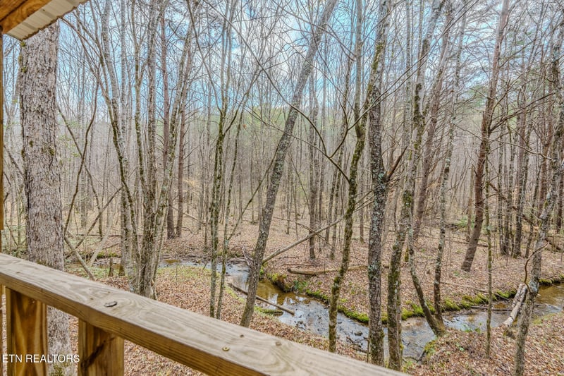 1259 Steve Brown Rd, Bean Station, TN 37708
