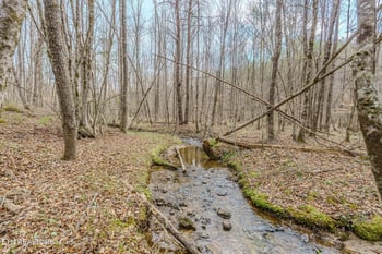1259 Steve Brown Rd, Bean Station, TN 37708