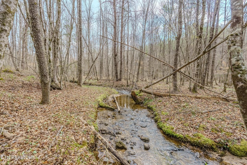 1259 Steve Brown Rd, Bean Station, TN 37708