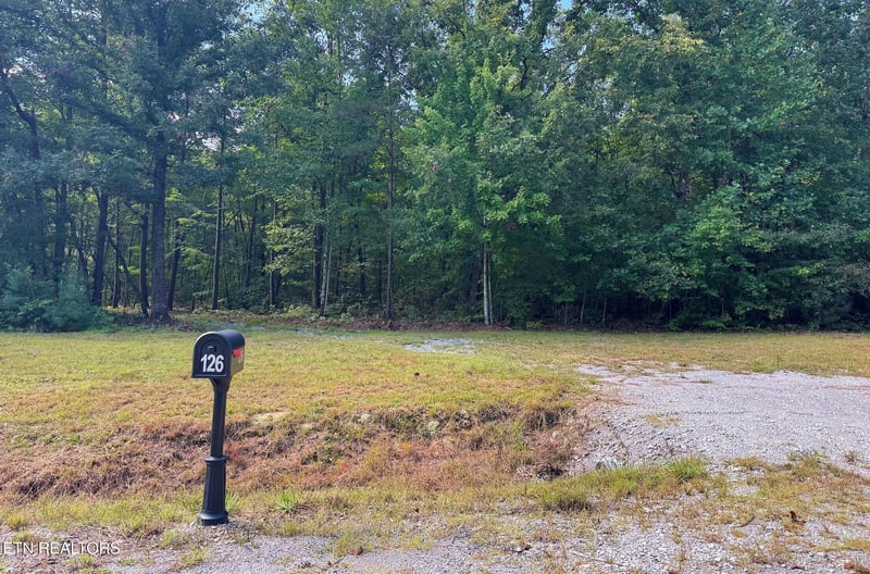 126 Bo's Way, Deer Lodge, TN 37726