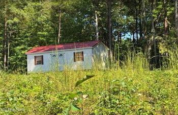 126 Bo's Way, Deer Lodge, TN 37726