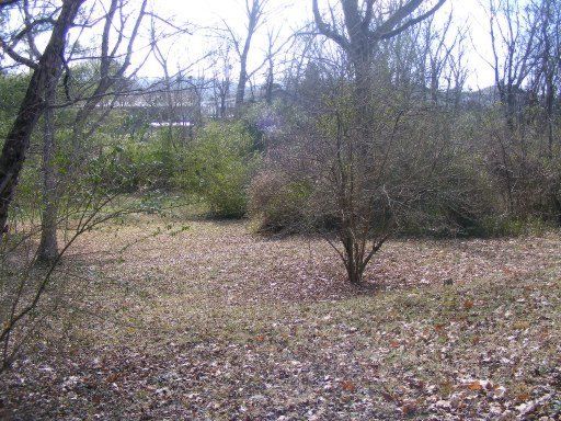 126 E Tennessee Ave, Oak Ridge, TN 37830