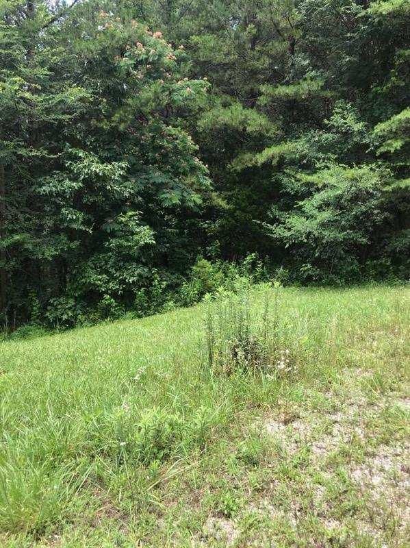 126 Lunar Way, Maryville, TN 37801