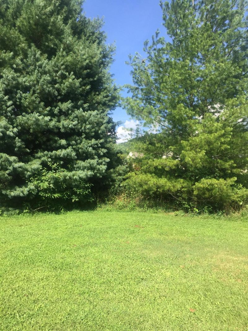 126 Rolling Stone Ln, Clinton, TN 37716