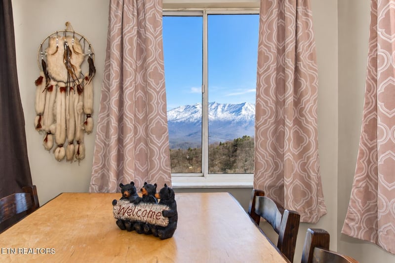 1260 Ski View Dr #APT 6201, Gatlinburg, TN 37738