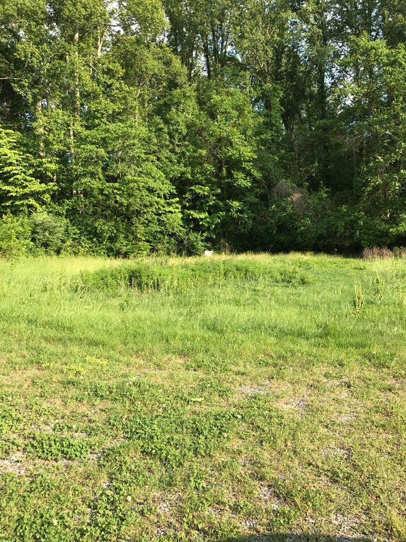 1264 Cumberland View Rd, Clinton, TN 37716
