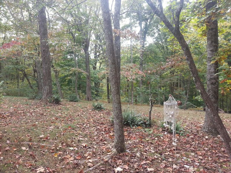 1264 Oak Rd, Rutledge, TN 37861
