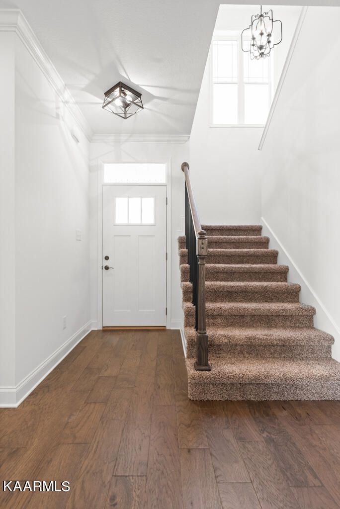 12640 Izzy Mule Ln, Knoxville, TN 37932