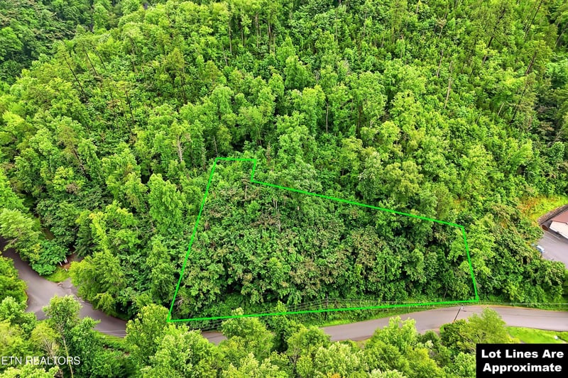 127 Beech Branch Rd, Gatlinburg, TN 37738