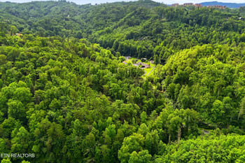 127 Beech Branch Rd, Gatlinburg, TN 37738