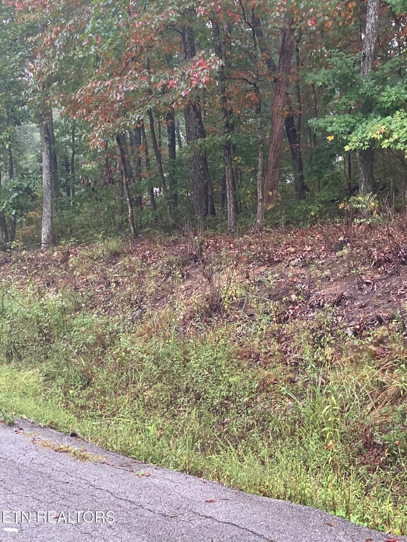 127 Brokenwood Ln, Crossville, TN 38558