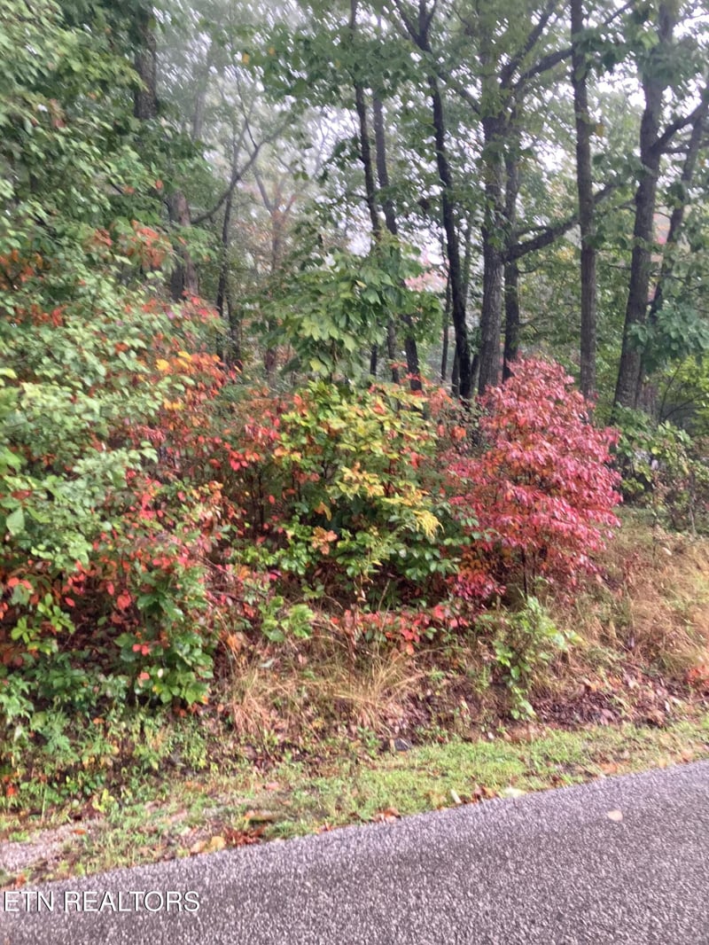 127 Brokenwood Ln, Crossville, TN 38558