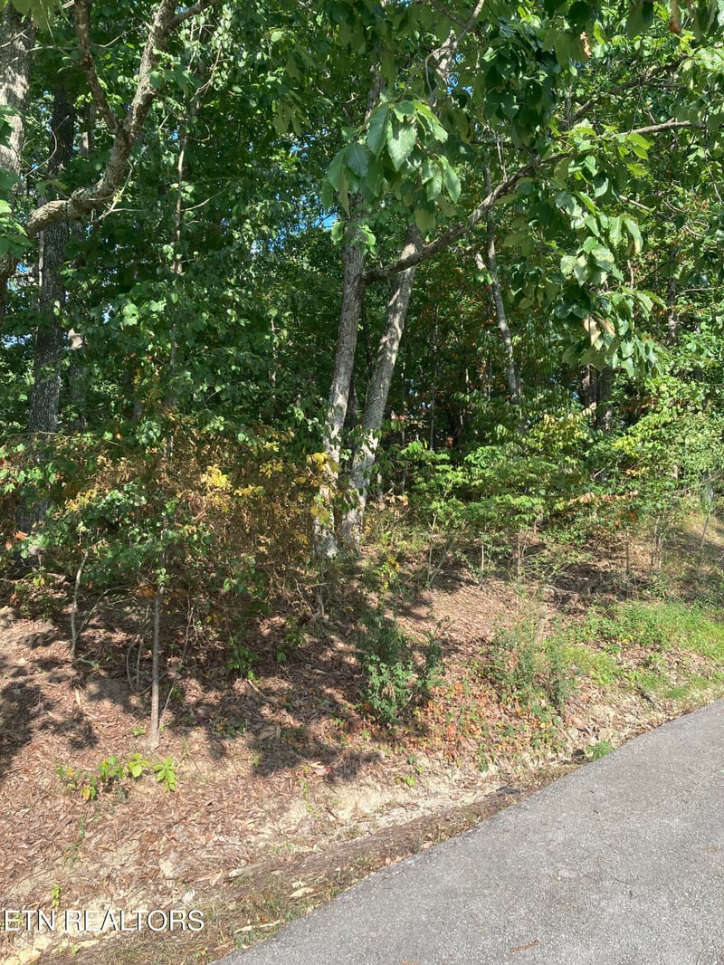 127 Brokenwood Ln, Crossville, TN 38558