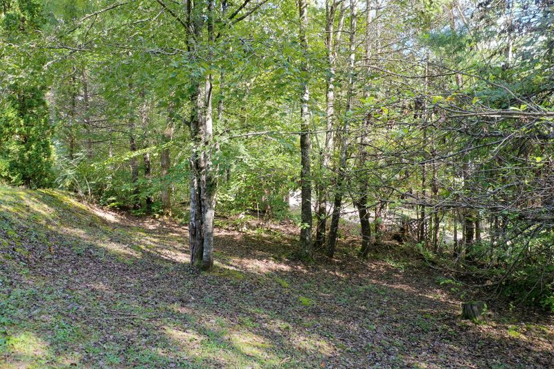 127 White Oak Ln, Townsend, TN 37882