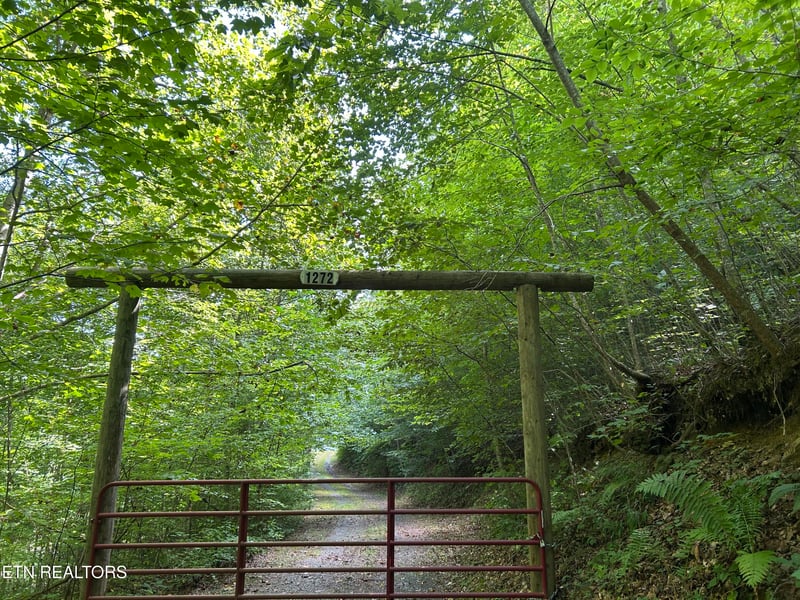1272 Briar Fork Rd, Bean Station, TN 37708