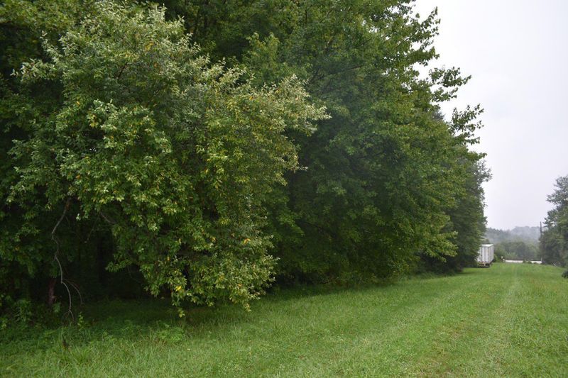 1274 Cherry Fork Rd, Helenwood, TN 37755