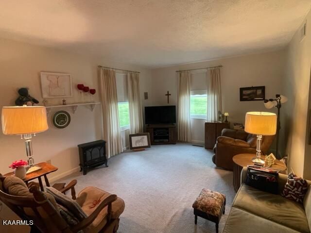 128 Chapman Overlook Dr, Seymour, TN 37865