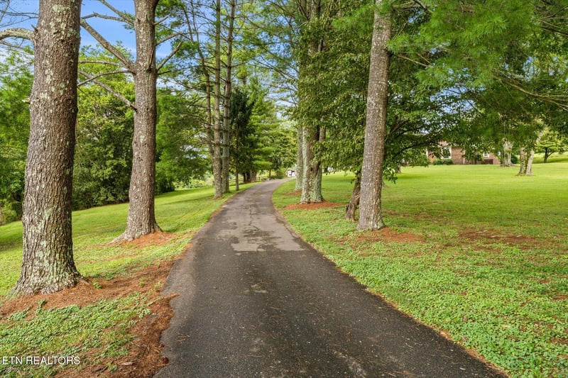 128 Chinquapin Ln, Madisonville, TN 37354