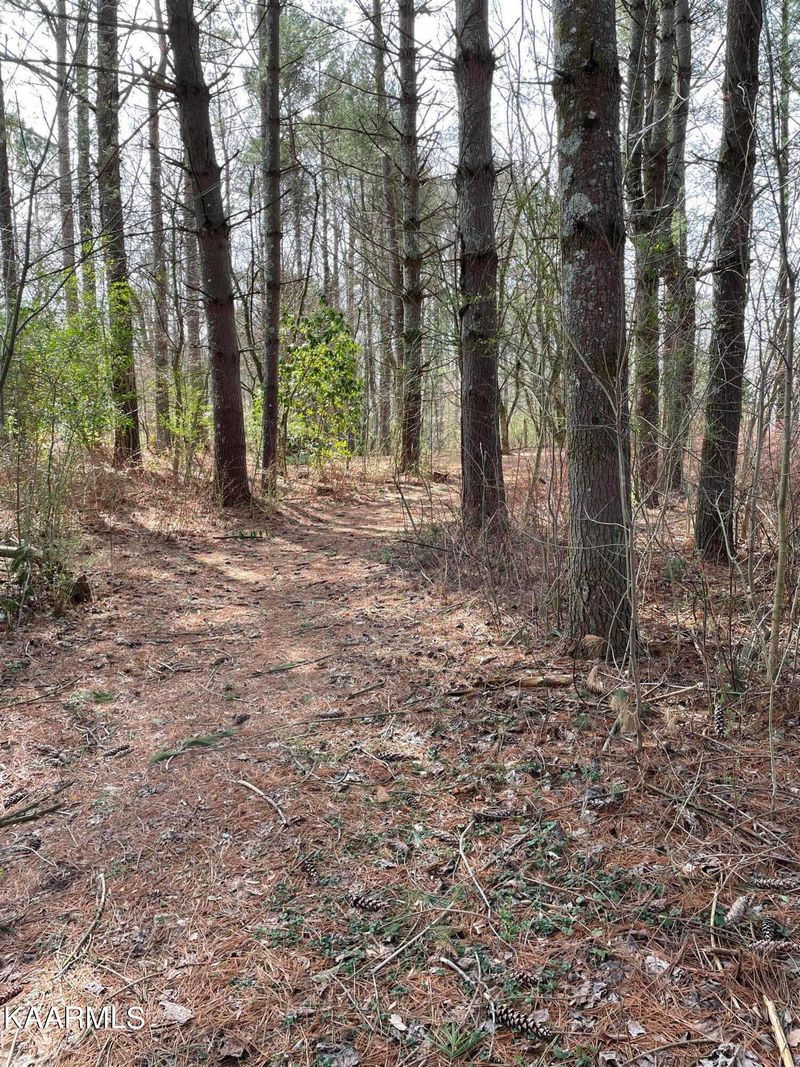 128 Dudala Way, Loudon, TN 37774