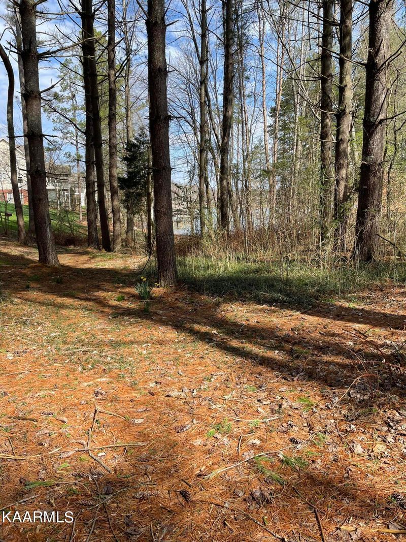 128 Dudala Way, Loudon, TN 37774