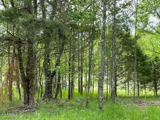 128 Dudi Tr, Vonore, TN 37885